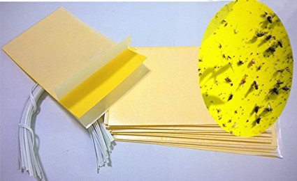 Hafer 30-Pack (15ea.5"*3"yellow Dual sticky trap and 15pcs wire tie)set