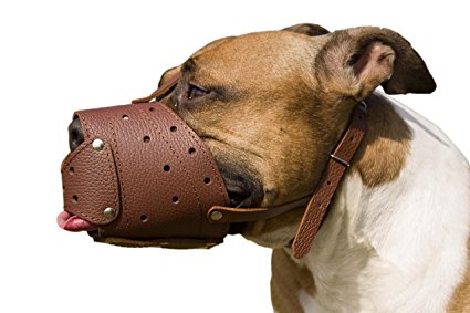 Pit Bull PitBull Terrier Secure Basket Dog Muzzle Genuine Leather Staffordshire Terrier
