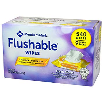 Member's Mark Flushable Wipes (9 pk, 540 wipes)