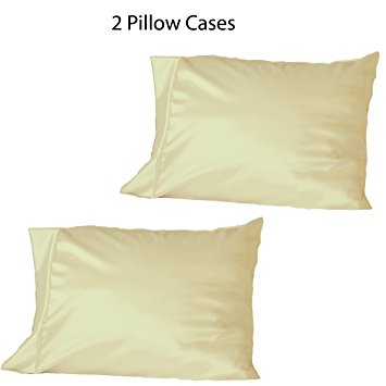 Set of two (2) Soft 100% Satin Pillowcases: Standard Queen (Beige)