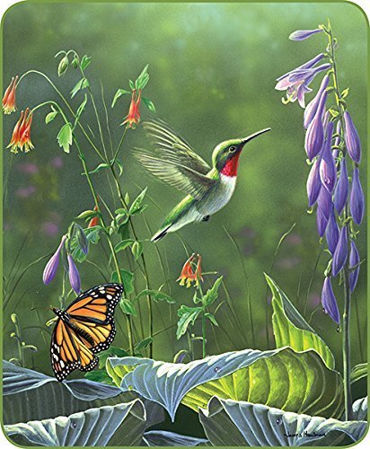 60" x 80" Blanket Comfort Warmth Soft Cozy Air conditioning Easy Care Machine Wash Hummingbird Butterfly