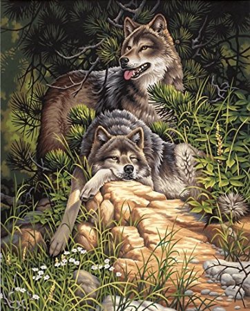 Dimensions Paintworks Paint by Numbers Wolves, Wild and Free Paint Kit