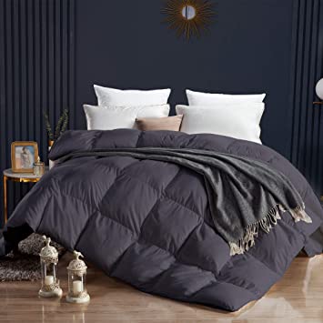 WENERSI Premium Goose Down Comforter Queen,All Seasons Duvet Insert,1200 Thread Count 100% Egyptian Cotton Fabric,Ultra-Soft&Down Proof,750 Fill Power Queen Size Comforter(Solid Grey,90x90inches)
