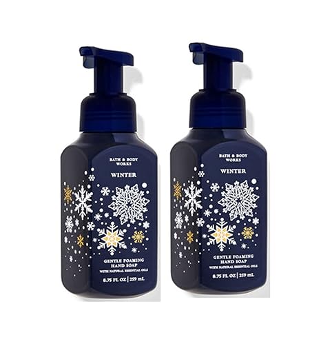 Bath and Body Works Winter Gentle Foaming Hand Soap, 2-Pack 8.75 Ounce (Winter)