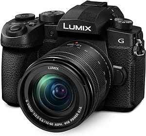 Panasonic LUMIX G95D 20.3 Megapixel Mirrorless Camera, 12-60mm F3.5-5.6 Micro Four Thirds Lens, 5-Axis Dual I.S. 2, 4K 24p 30p Video, Pre-Installed V-Log L, 3” OLED Touchscreen - DC-G95DMK(Black)