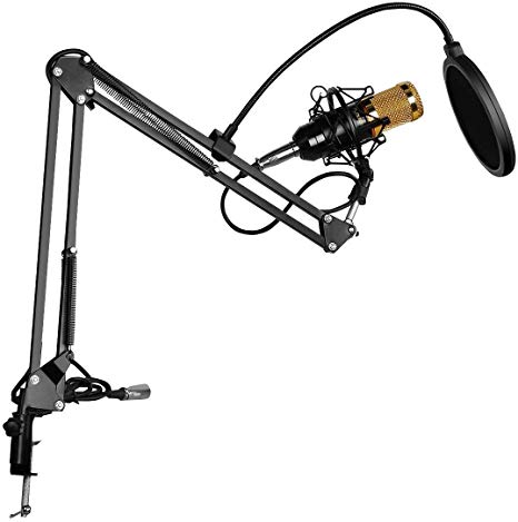BM-800 Condenser Microphone Black  Pop Filter Wind Screen   Arm Stand with XLR Male to XLR Female Microphone Cable for Studio Recording (Black)
