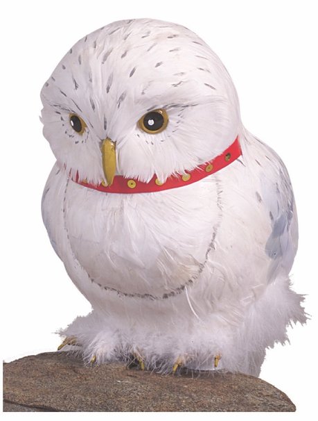Hedwig Accessory