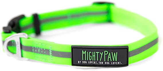 Mighty Paw Waterproof Dog Collar, Smell-Proof Active Dog Gear, Coated Nylon Webbing with Reflective Stripe. (Green, Large)