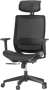 FLEXISPOT Ergonomic Office Chair 3D Armrest, Adjustable Lumbar Support & Headrest High Back Desk Chair with Swivel, Elevation & Tilt - Full Mesh Computer Chair, black