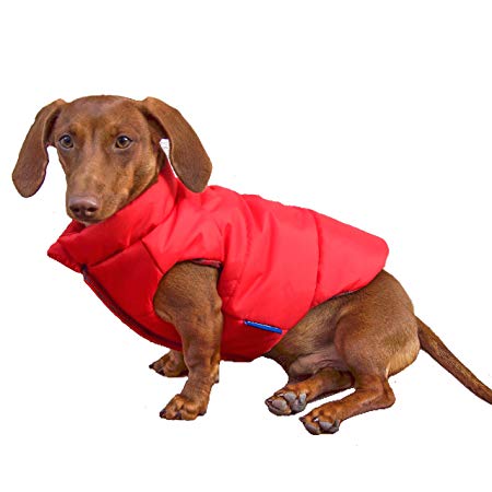 DJANGO Puffer Dog Jacket and Reversible Cold Weather Dog Coat with Full Coverage and Windproof Protection