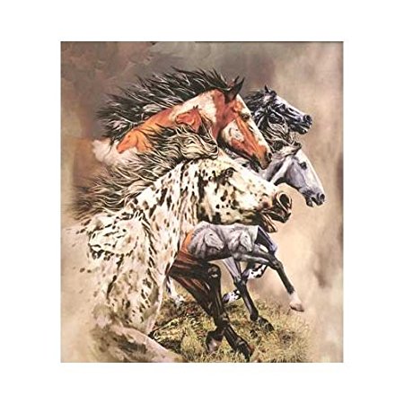 K2 Find 13 Horses Plush Rachel "Mink" Queen Blanket Signature Collection