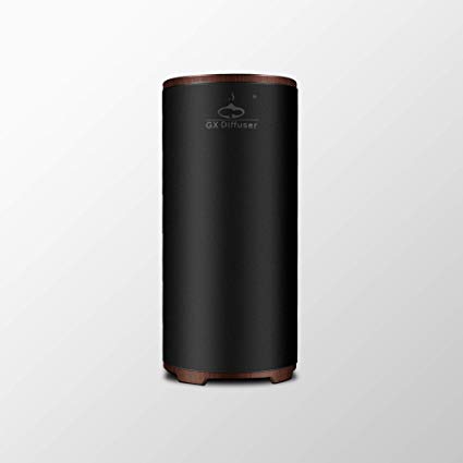 GX Diffuser Mini USB Ozone Air Purifier Portable Air Cleaner Ozone Generator Fresh for Home Car (Black)