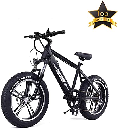 NAKTO 20 inch 300W Fat Tire Electric Bike for Adults Snow/Mountain/Beach Ebike with Shimano 6 Speed Gear and 48V 8AH Lithium-Ion Battery