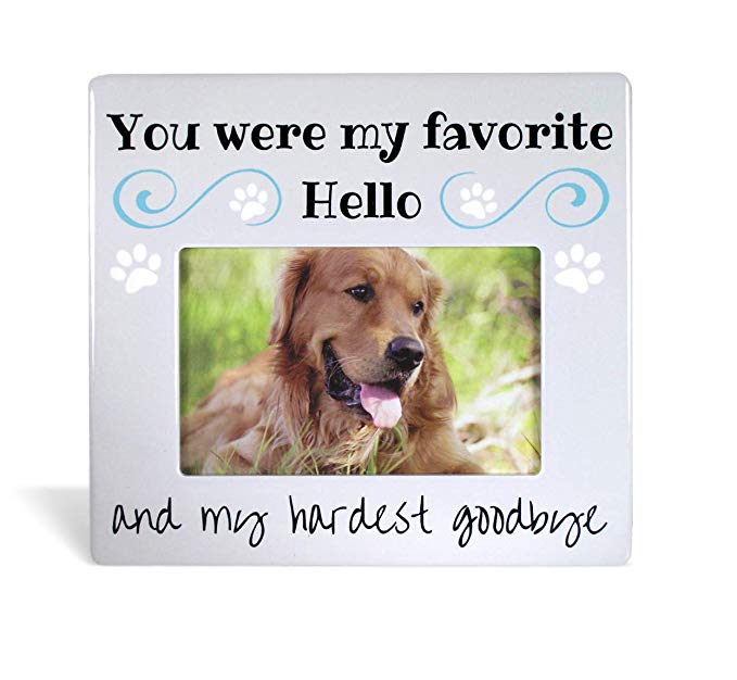 BANBERRY DESIGNS Pet Remembrance Gifts - Pet Memorial Picture Frame - Bereavement Photo Frame for Dog or Cat - You were My Favorite Hello and My Hardest Goodbye