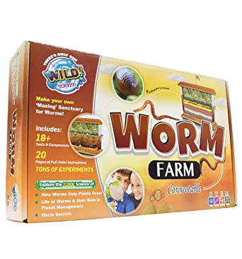 WILD! Science Worm Farm - Ages 6  - In Home Learning Science Kit - Easy Assembly - Worm Farm, Colored Sand, Accessories and Education & Instruction Booklet