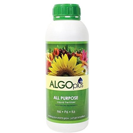 Algoflash All Purpose Formula