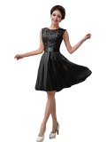 Xuerry Women Sleeveless Bodycon Lace Chiffon Cocktail Party Prom Dresses