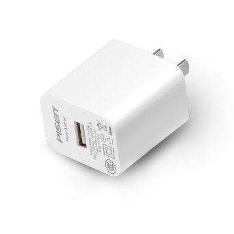 Pisen 2A Travel Wall Charger Fast USB Charger for iPhone, iPad, Samsung Galaxy and More (White)