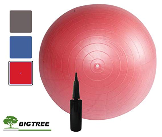 Bigtree Exercise Ball (55-75cm) Extra Thick Yoga Ball Chair, Anti-Burst Heavy Duty Stability Ball, Birthing Ball with Quick Pump (Office & Home & Gym)