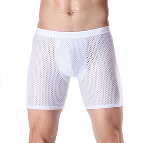 Allywit Men's Underwear, Sexy Soft Ice Silk Mesh Breathable Underwear Boxer Briefs Shorts Underpants