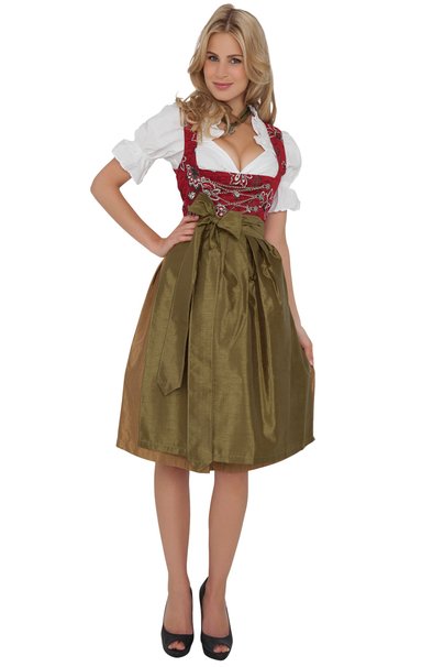 Dirndl Womens 3-Piece Dirndl with Floral Embroidery