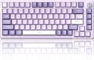 MageGee SKY81 75% Mechanical Gaming Keyboard, Gasket Hot Swappable Wired Custom Creamy Keyboard with 5-Layer Sound Dampening, Knob Control, RGB Backlit, NKRO for Win/Mac (Violet, Violet Switch)