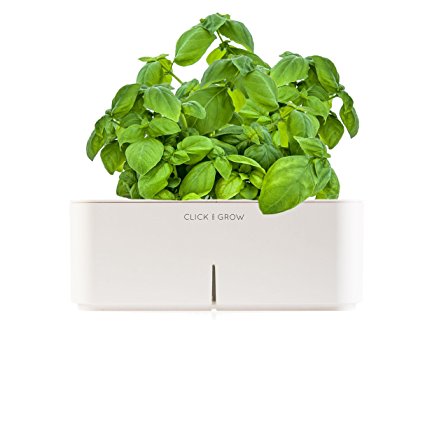 Click & Grow Smartpot Basil Indoor Grow Kit