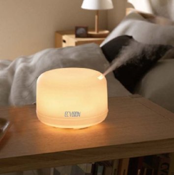 ECVISION 500ML Aroma Diffuser Ultrasonic Humidifier LED Color Changing Ionizer with 180 days Product Replacement Warranty only when you purchased from ECVISION