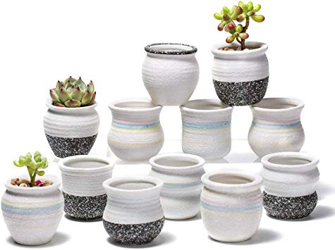 Potaroma Ceramic Planter for Succulents, 2 Inch Small Plant Pots Indoor&Outdoor, White Flower Pot Set of 12 with Drainage Hole Tray and Gardening Tools - Plants Excluded