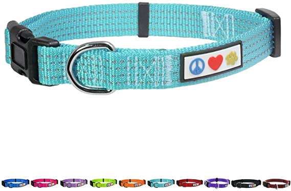 Pawtitas Dog Collar for Small Dogs Reflective Training Puppy Collar with Stich - S - Teal