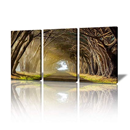 Artland Large Canvas Oil Painting Wall Art Ready to Hang-24X48inches Golden Sunlight Forest 3-Pieces Gallery-Wrapped Contemporary Artwork on Canvas for Home Decoration
