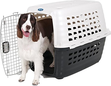 Petmate Compass Plastic Pets Kennel with Chrome Door