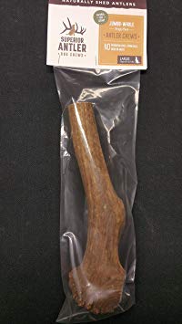 1-GIANT-JUMBO Whole Elk Antler for Dogs –XXXL All Natural premium Grade A. Antler Chew. Naturally Shed, Hand-picked, and made in the USA. NO ODOR, NO MESS. GUARANTEED SATISFACTION. For dogs 60-90  Lbs