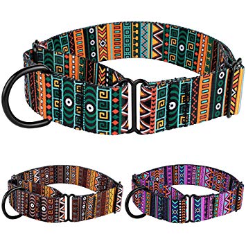 CollarDirect Martingale Collars for Dogs Heavy Duty Tribal Pattern Adjustable Soft Safety Training Nylon Wide Pet Collar Medium Large