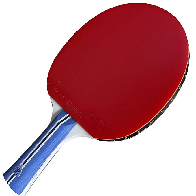 Gambler Spin Zone X Tacky Table Tennis Ping Pong Paddle - ITTF Approved