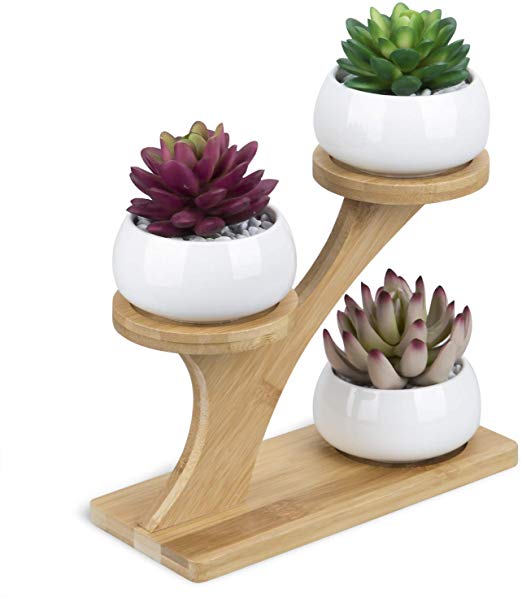 3pcs White Ceramic Succulent Pots with 3 Tier Bamboo Saucers Stand Holder - Modern Decorative Flower Planter Plant Pot with Drainage - Home Office Desk Garden Mini Cactus Pot Indoor Decoration