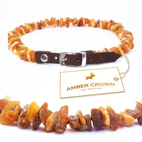 Amber Flea and Tick Collar with Adjustable Leather Strap for Dogs and Cats  Untreated Authentic Baltic Amber Dog Necklace  Natural Tick and Flea Control and Prevention  Gift-Ready Packaging - Perfect Present for Every Pet Lover  100 Days 100 Satisfaction Guarantee