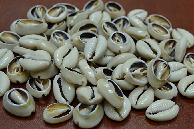 100 Pcs Bulk Cut Sea Shell Beads Cowrie Craft