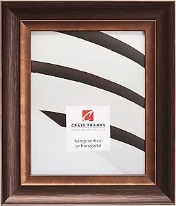 Craig Frames Ventura Picture Frame, 24 x 32 Inch, Bronze