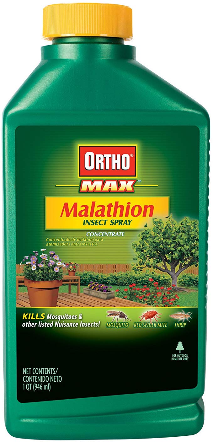 Ortho 0165210 Malathion Plus Insect Spray Concentrate - 32 oz.