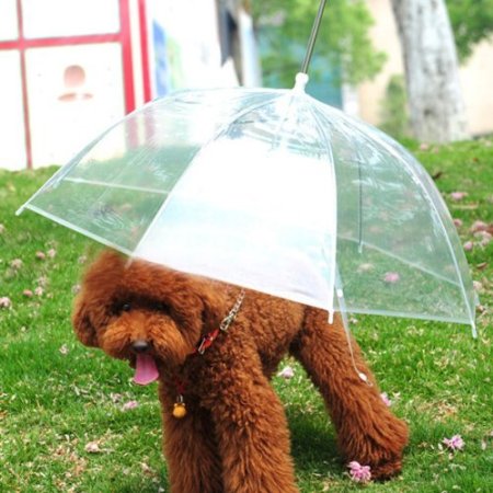 Lesypet Pet Umbrella Dog Umbrellar With Leash Fits 23 Back Length