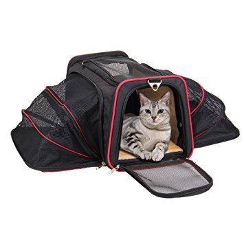 Airline Approved Pet Carrier – KiddyWoof Small Cat Carrier Tote Bag Travel Purse, Portable Soft Sided Dog Carrier Bag with Two Side Expandable for Little Animals, Kitties, Kittens and Puppies