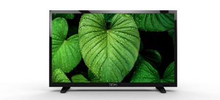 Seiki SE19HL 19-Inch 720p LED TV 2015 Model