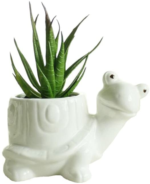 Youfui Cute Animal Succulent Planter Flower Pot Decor for Home Office Desk (Turtle)