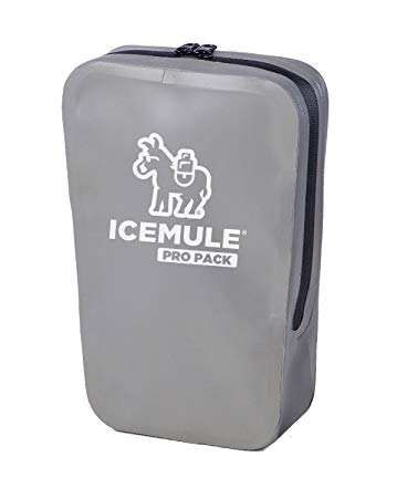 ICEMULE Pro Pack – Waterproof Storage Pouch / Dry Bag for Keeping Your Valuables Safe and Dry – Ideal for Your Wallet, Keys, Cell Phone and Sunglasses – Grey, Measures 10 x 10 x 4 Inches