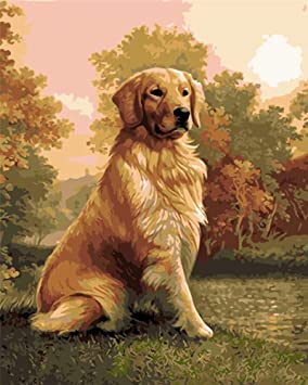 Diy Oil Painting, Paint By Number Kits -Golden Retriever Dog,16X20 Inch