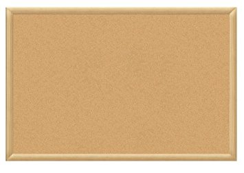 Board Dudes 24-Inch x 36-Inch Oak Finish Framed Cork Board (CYG38)