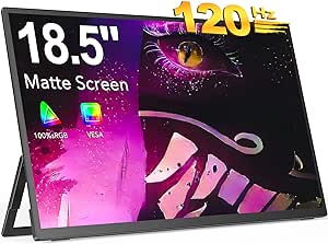 EVICIV Ecran Portable 18.5 Pouces 120Hz 1080P FHD Moniteur Portable Corps en Alliage d'aluminium avec Mini HDMI/Type-C, Compatibilité VESA