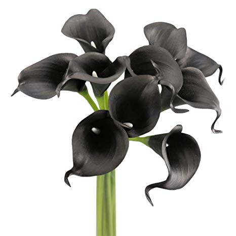 Angel Isabella 10pc Set Real Touch Calla Lily-Keepsake Artificial Flower Perfect Cut to Make Boutonniere Corsage Bouquets (Black)