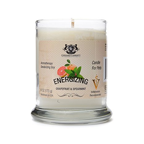 Grapefruit & Spearmint Aromatherapy Deodorizing Soy Candle For Pets, Candles Scented, Pet Odor Eliminator & Animal Lover Gift
